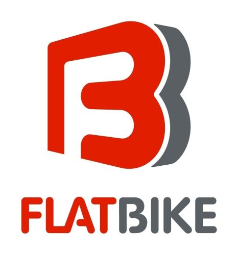 Flatbike Promo Codes & Coupons
