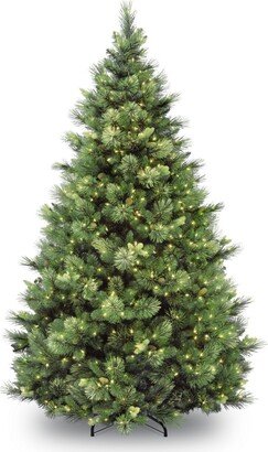 National Tree Company National Tree 7.5 Ft Carolina Pine tree