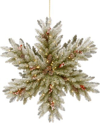 National Tree Company 32 Snowy Dunhill Fir Double Sided Snowflake with Cones, Red Berries & 100 Warm White Battery Operated Led Lights w/Timer - Gree