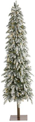 Flocked Washington Alpine Christmas Artificial Tree with 350 Warm Led Lights and 877 Bendable Branches