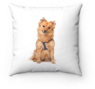 Dutch Keeshond Pillow - Throw Custom Cover Gift Idea Room Decor