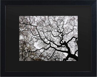 Kurt Shaffer Japanese Maple Spring Abstract Ii Matted Framed Art - 15 x 20