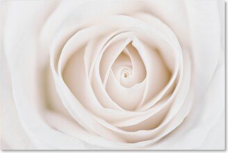 Cora Niele 'White Rose' Canvas Art - 47 x 30 x 2