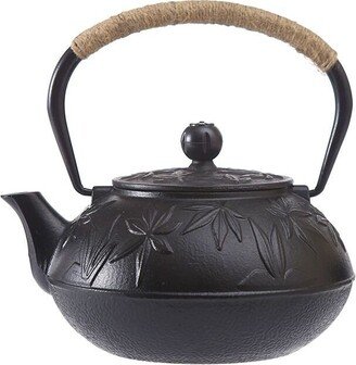 Oriarm Cast Iron Tea Pot With Infuser, Kettle Stovetop Safe, Nanbu Tetsubin Black No Enamel