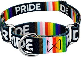 Country Brook Petz Pride Martingale Dog Collar (1 Inch, Large)