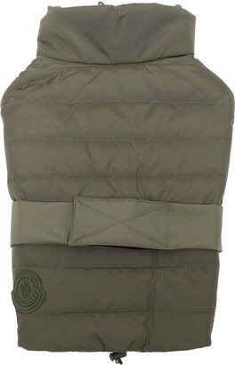 Padded Logo Dog-Vest