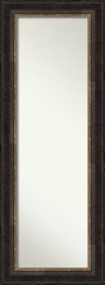 Non-Beveled Full Length On The Door Mirror 53.75 x 19.75 in. - Varied Frame - Varied Black - 20 x 54 in