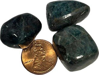 Blue Apatite Tumbled