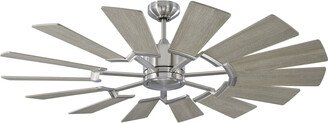 Prairie II Indoor / Outdoor Ceiling Fan with Light