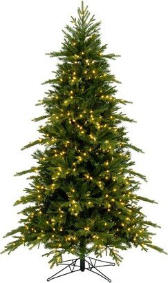 7.5' x 56 Kingston Fraser Fir Artificial Christmas Tree with Warm White LED Lights. In a 21Lx21Wx7H base.