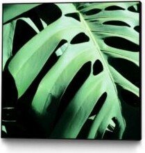 Ivan Ballack Monstera Deliciosa Art Block Framed