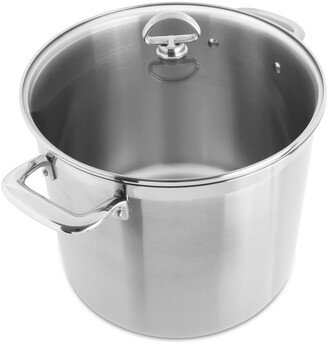 Induction 21 Steel 12-Qt. Stockpot with Glass Lid