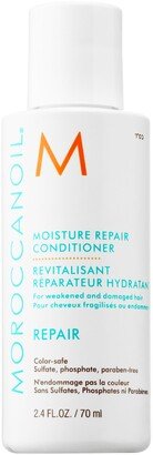 Mini Moisture Repair Conditioner