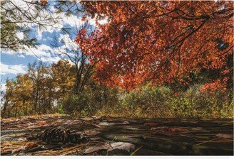 Kurt Shaffer Photographs Autumn Picnic Canvas Art - 19.5 x 26