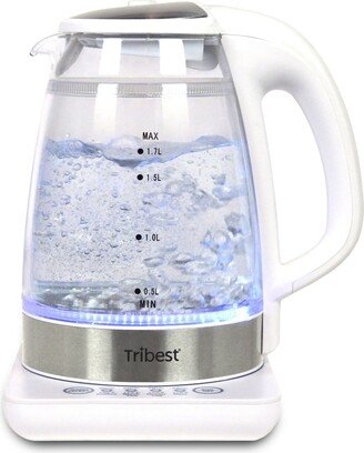 Double-Walled Electric Glass Raw Tea Kettle