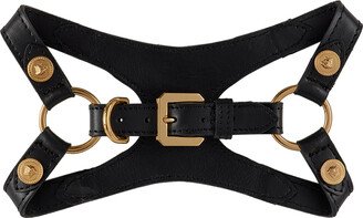 Pets Black Medusa Studs Harness