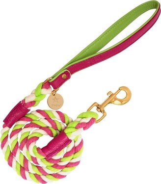 Poisepup Pet Dog 5ft Long Leash - Candy Swirl