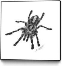 Dino Tomic Spider Art Block Framed