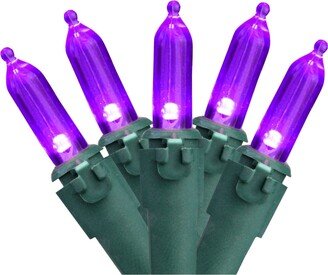 Northlight Set of 50 Purple Led Mini Christmas Lights 4 Spacing - Green Wire