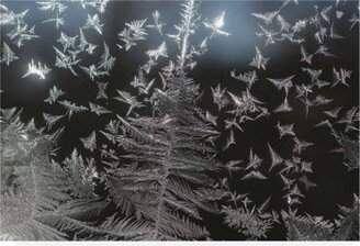 Kurt Shaffer Photographs Ice crystal patterns on my window Canvas Art - 19.5 x 26