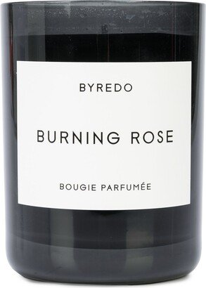 Burning Rose 240 gr candle