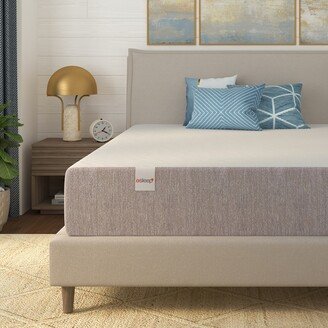 OSleep by O.com OSleep 12-inch Gel Memory Foam Medium-firm Mattress