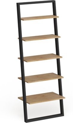 Ranell Leaning Ladder Shelves by Modern