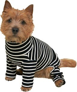 Little Beast Cafe in Paris Onesie for Dogs