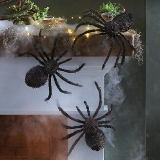 Grapevine Spiders, Set Of Three