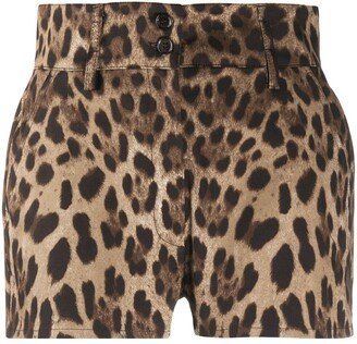 Leopard Print High-Waisted Shorts