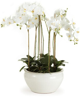 Napa Home & Garden Barclay Butera Phalaenopsis In Ceramic Bowl