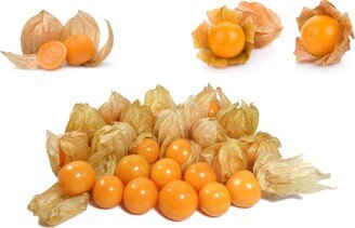 Cape Gooseberry Seeds | Physalis Peruviana - Organic & Non Gmo Grow Your Own At Home Fresh Seeds