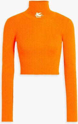 Cropped embroidered knitted turtleneck sweater