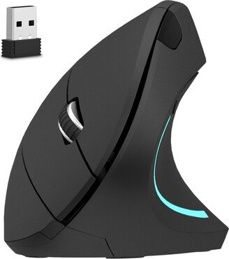 Delton Ergonomic 12 Wireless Mouse