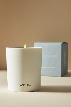 Chestnut Cardamom Ceramic Candle