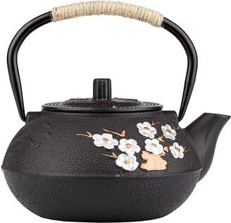 stovetop Cast Iron Tea Kettle Japanese Nanbu Tetsubin Pot With Infuser No Enamel