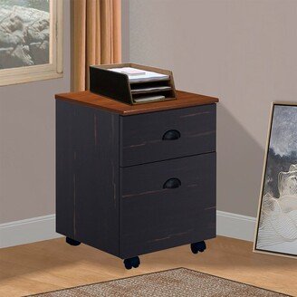 Saint Birch Hawksbury 2 Drawer Mobile File Cabinet