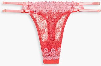 Veneto two-tone corded lace low-rise thong