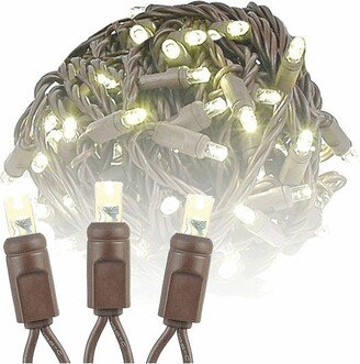 Novelty Lights Inc Novelty Lights Warm White 100 LED Christmas Mini Light Set (Brown Wire, 50 Feet)