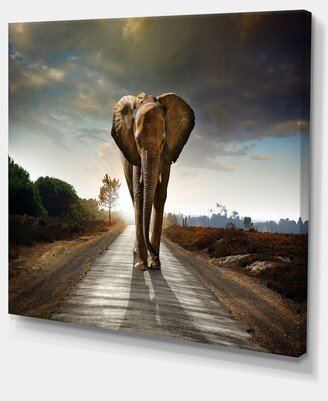 Designart Single Walking Elephant Photography Canvas Art Print - 20 X 12