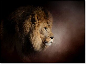 Jai Johnson 'The Mighty Lion' Canvas Art - 47 x 35 x 2