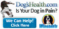Dog's Health Promo Codes & Coupons