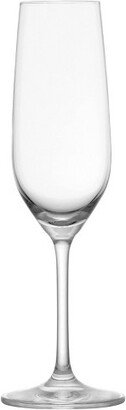 7.7oz 6pk Crystal Forte Champagne Flute Glasses