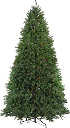 Northlight 14' Pre-Lit Full Northern Pine Artificial Christmas Tree - Multi-Color Lights