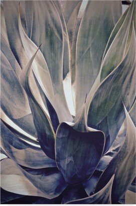 American School Faded Succulent Canvas Art - 15 x 20