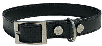 Shaya Pets The Taylor Medium Collar-AB