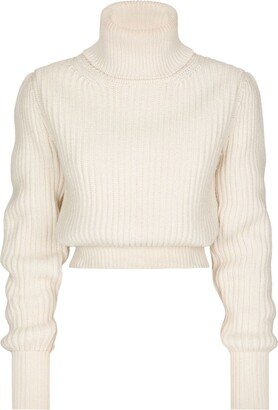 Ribbed-Knit Roll-Neck Jumper-AA