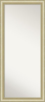 Textured Light Gold-tone Framed Floor/Leaner Full Length Mirror, 29