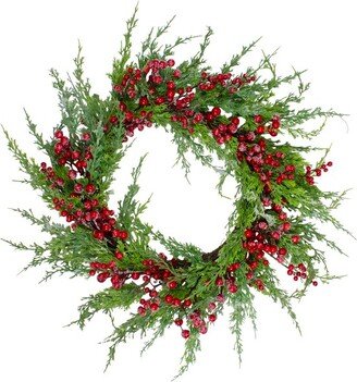 Northlight Frosted Red Berries Artificial Christmas Wreath - 26-Inch, Unlit