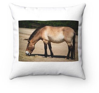 Horse Przewalskii Pillow - Throw Custom Cover Gift Idea Room Decor